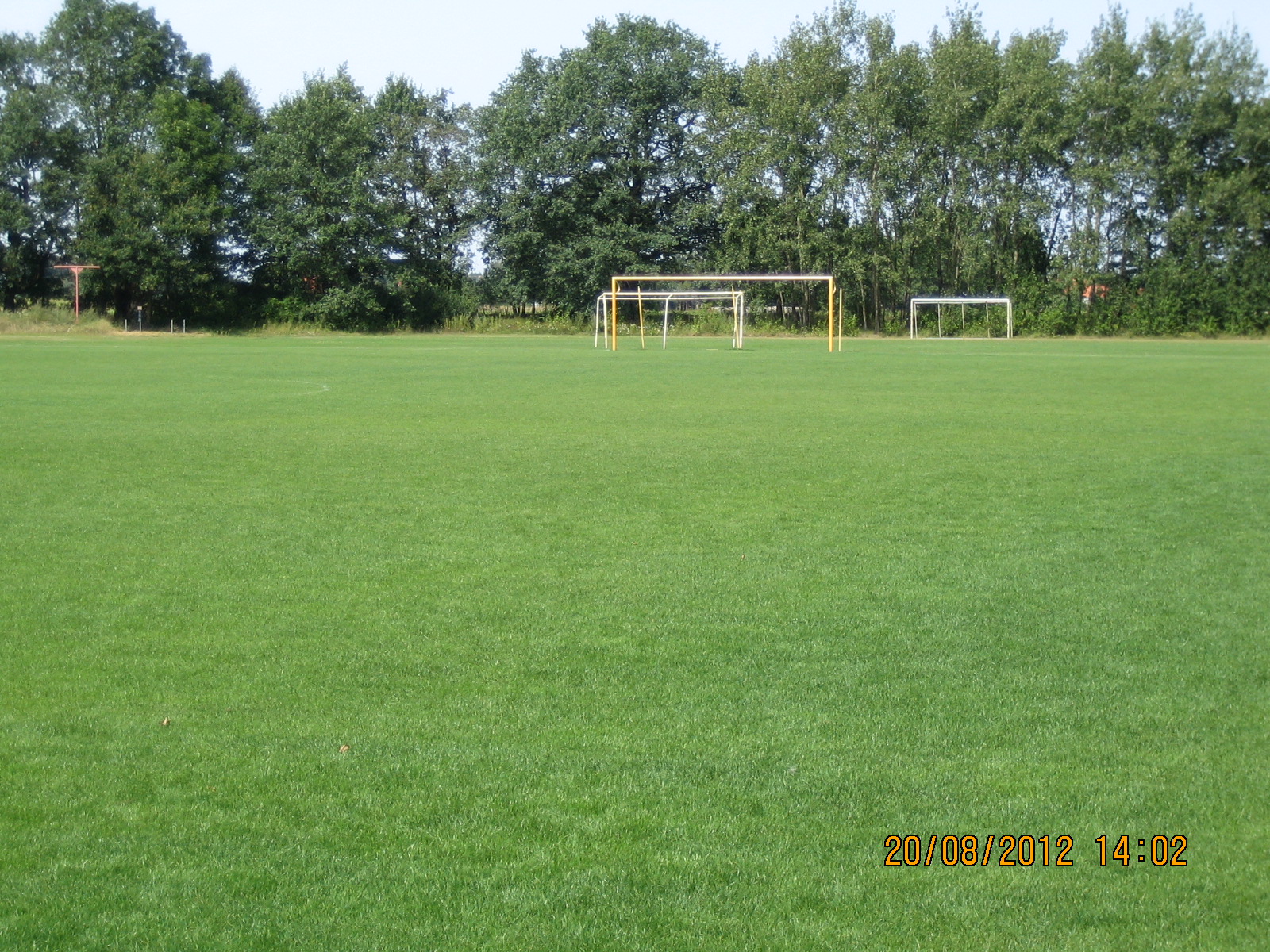 Trainingsplatz Wiese